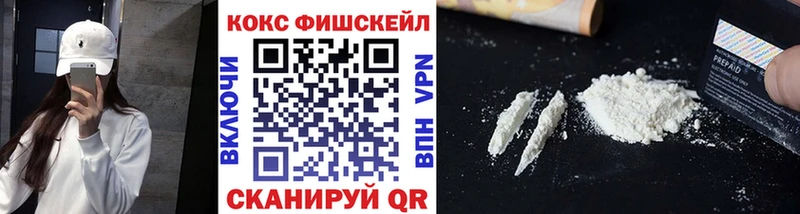 COCAIN Fish Scale  продажа наркотиков  Барабинск 