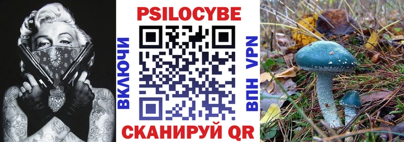 Галлюциногенные грибы Cubensis Барабинск